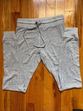 American Eagle Outfitters Gray Sweat Jogger Pants